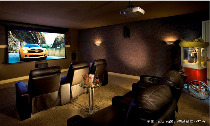 ˽��Ӱ��ϵͳ�������